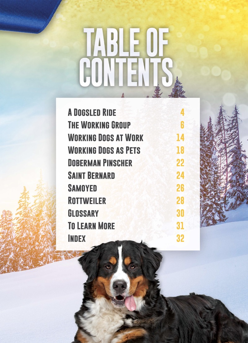 Dog Groups: Working Dogs book cover