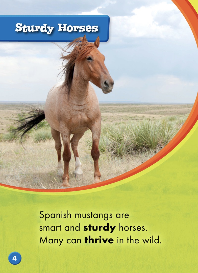 Saddle Up!: Spanish Mustangs — page 1