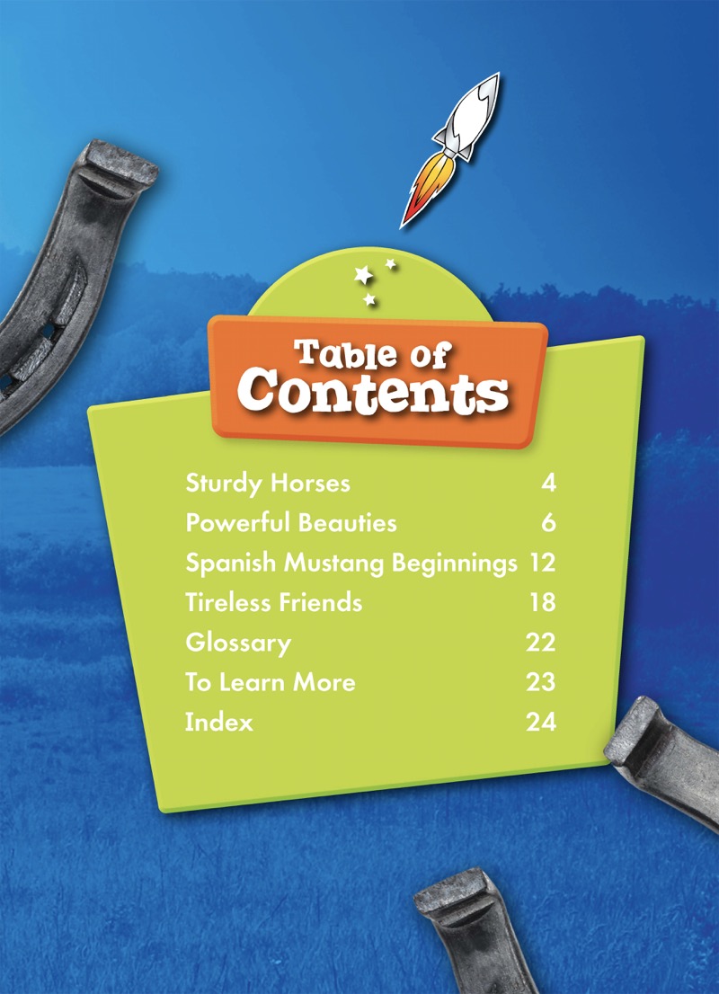 Saddle Up!: Spanish Mustangs book cover