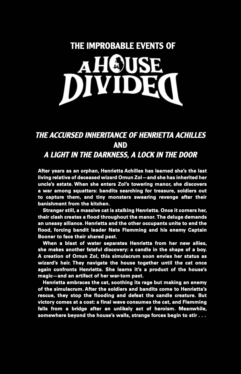 A House Divided 3: The Winter of Walking Stone book cover