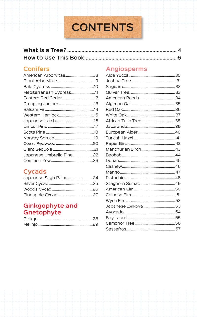 Field Guides for Kids: Trees — page 1