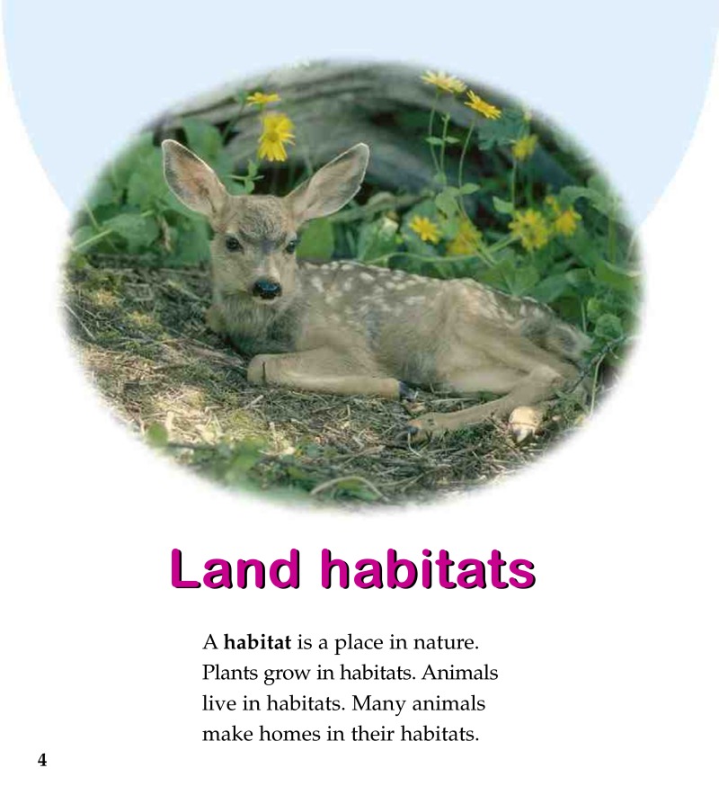 Land Habitats — page 1