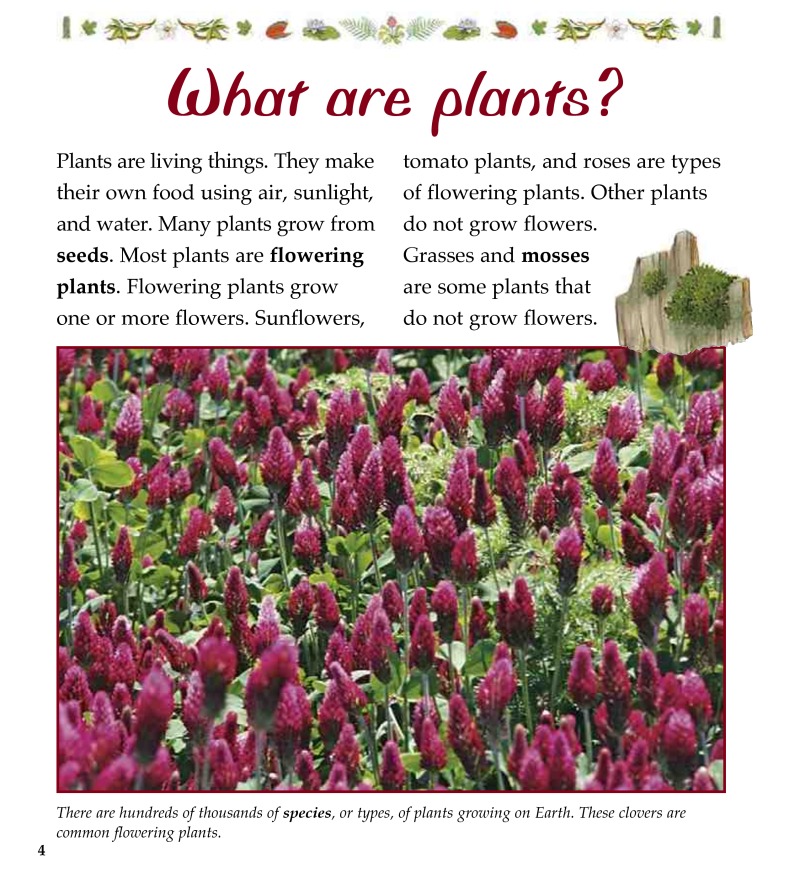 Plants in Different Habitats — page 1