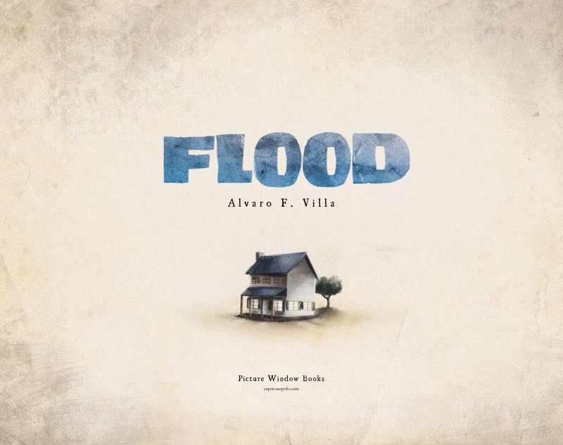 Flood book cover