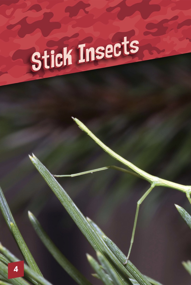 Animals With Camo: Stick Insects — page 1