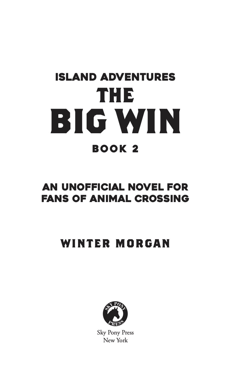 Island Adventures No. 2: The Big Win book cover