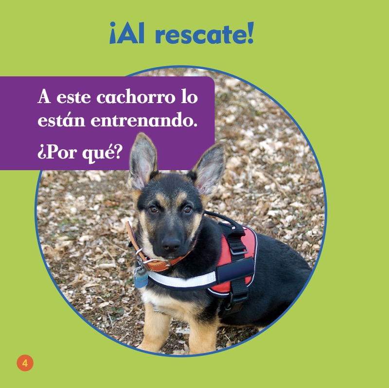 Los perros de búsqueda y rescate — page 1