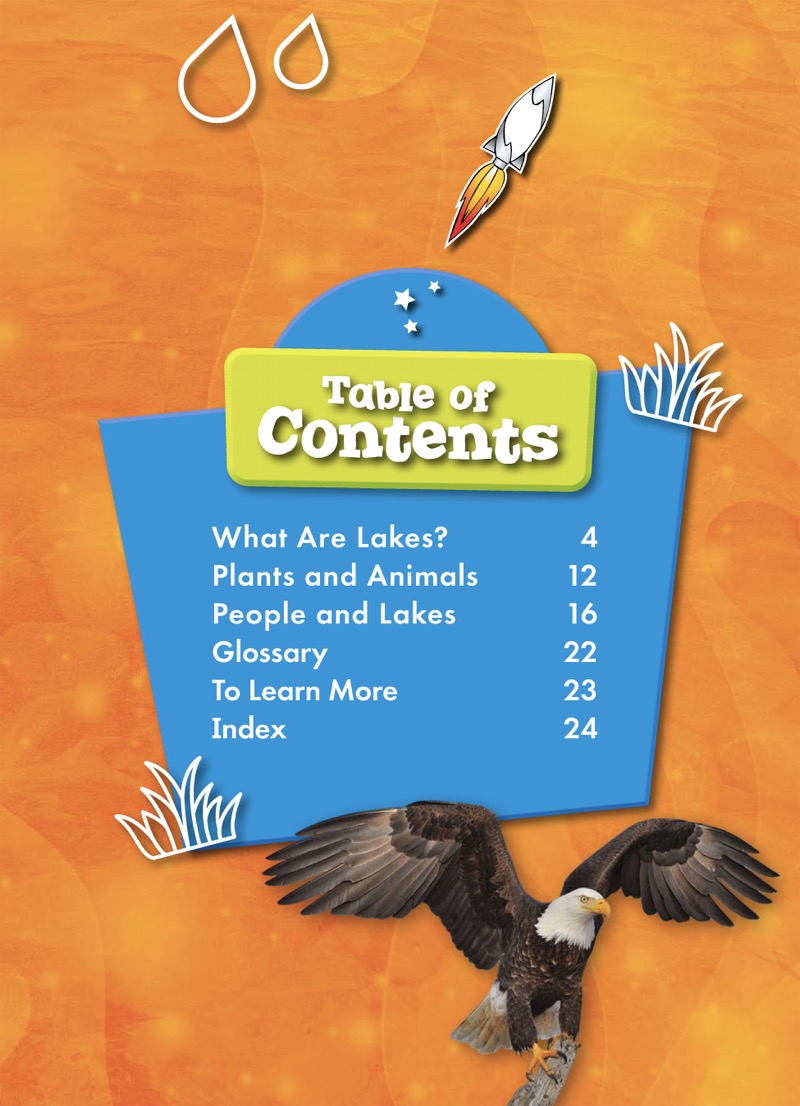 Our Planet Earth: Lakes book cover