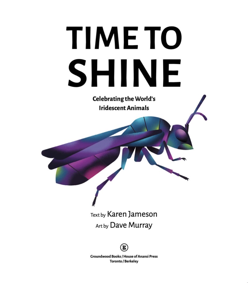 Time To Shine: Celebrating the World’s Iridescent Animals book cover