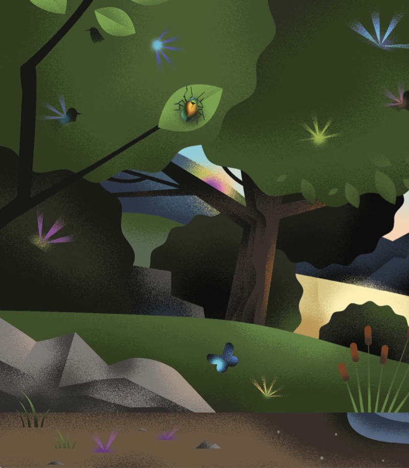 Time To Shine: Celebrating the World’s Iridescent Animals — page 1
