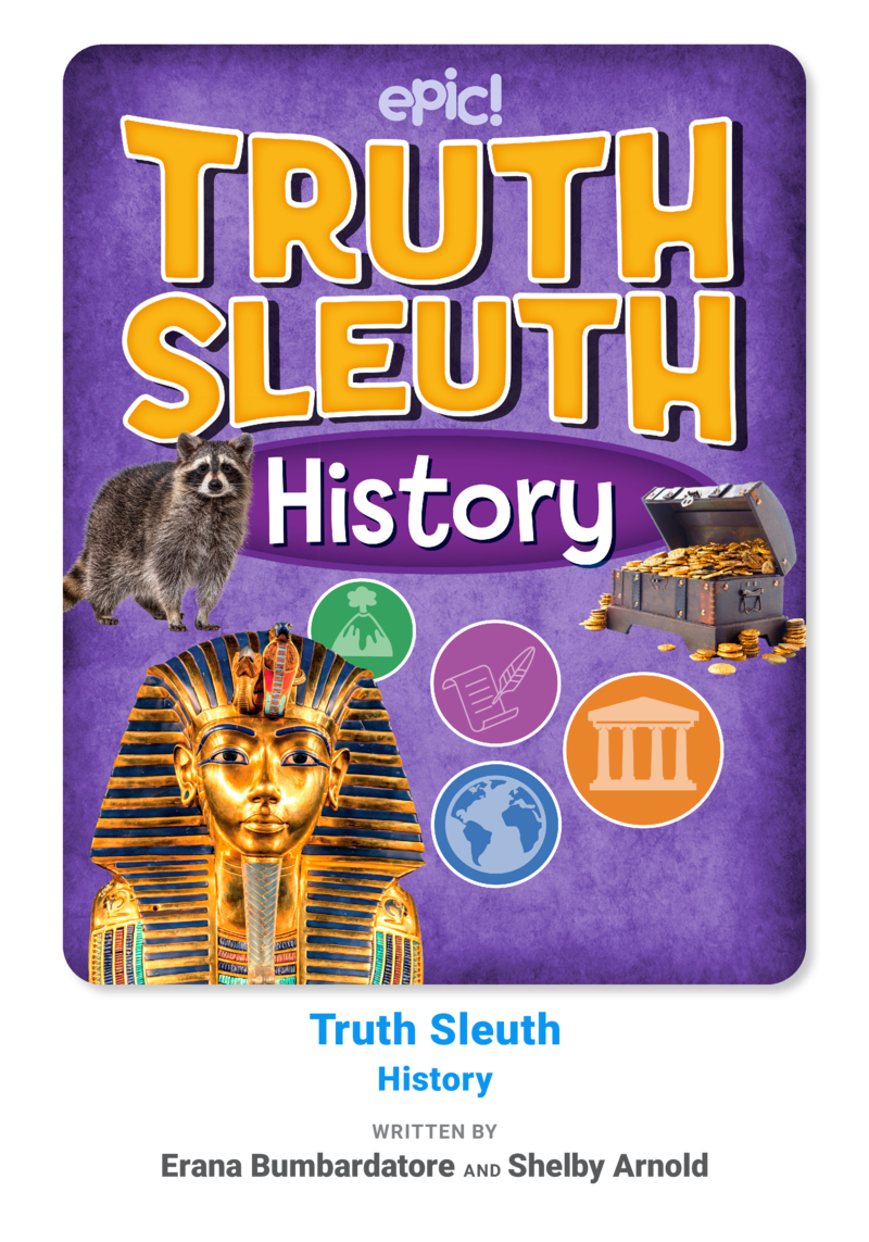 Truth Sleuth: History book cover