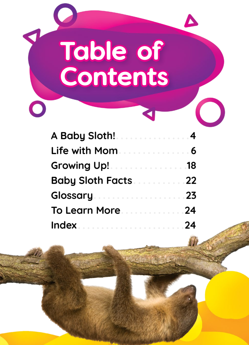 Too Cute!: Baby Sloths book cover