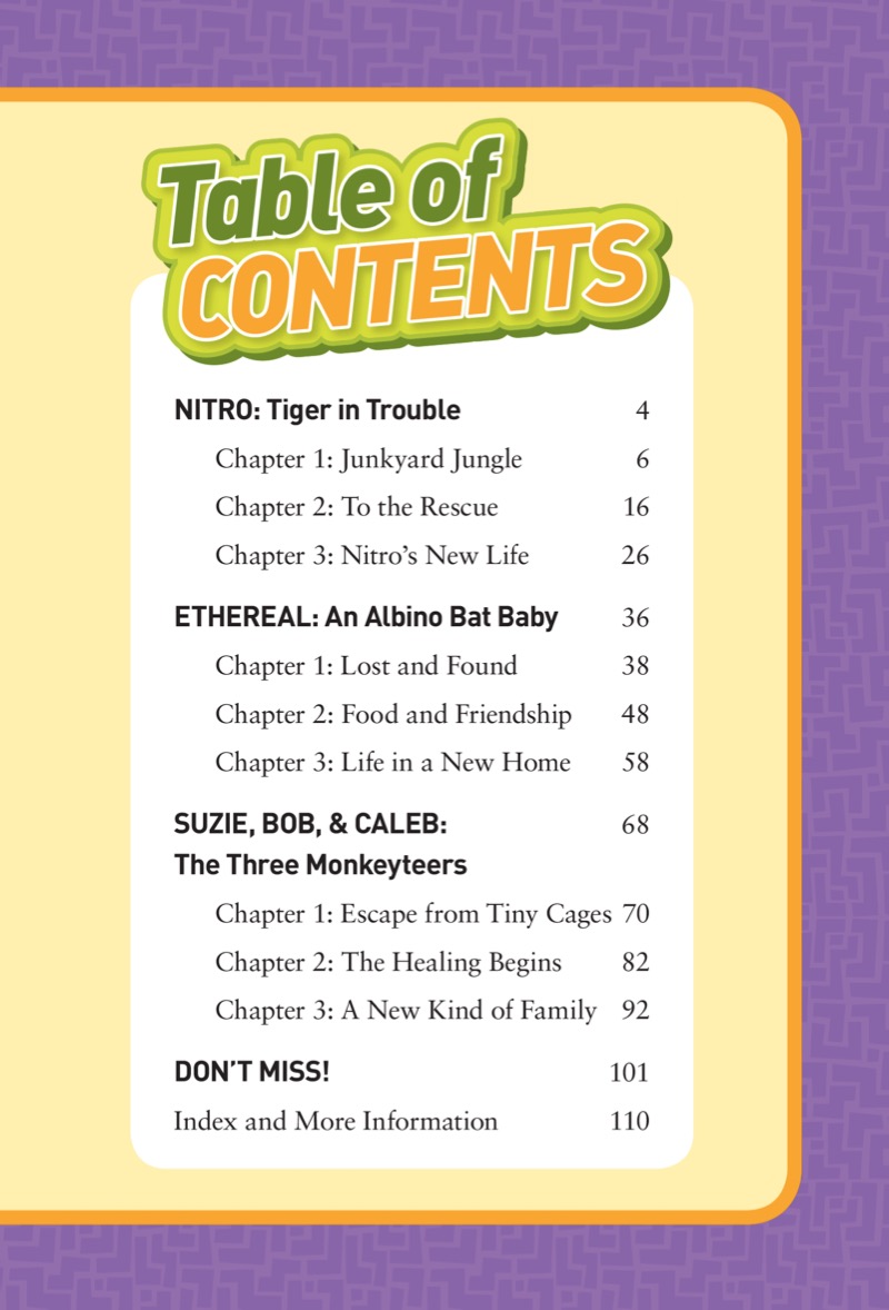 National Geographic Kids Chapters: Tiger in Trouble! book cover