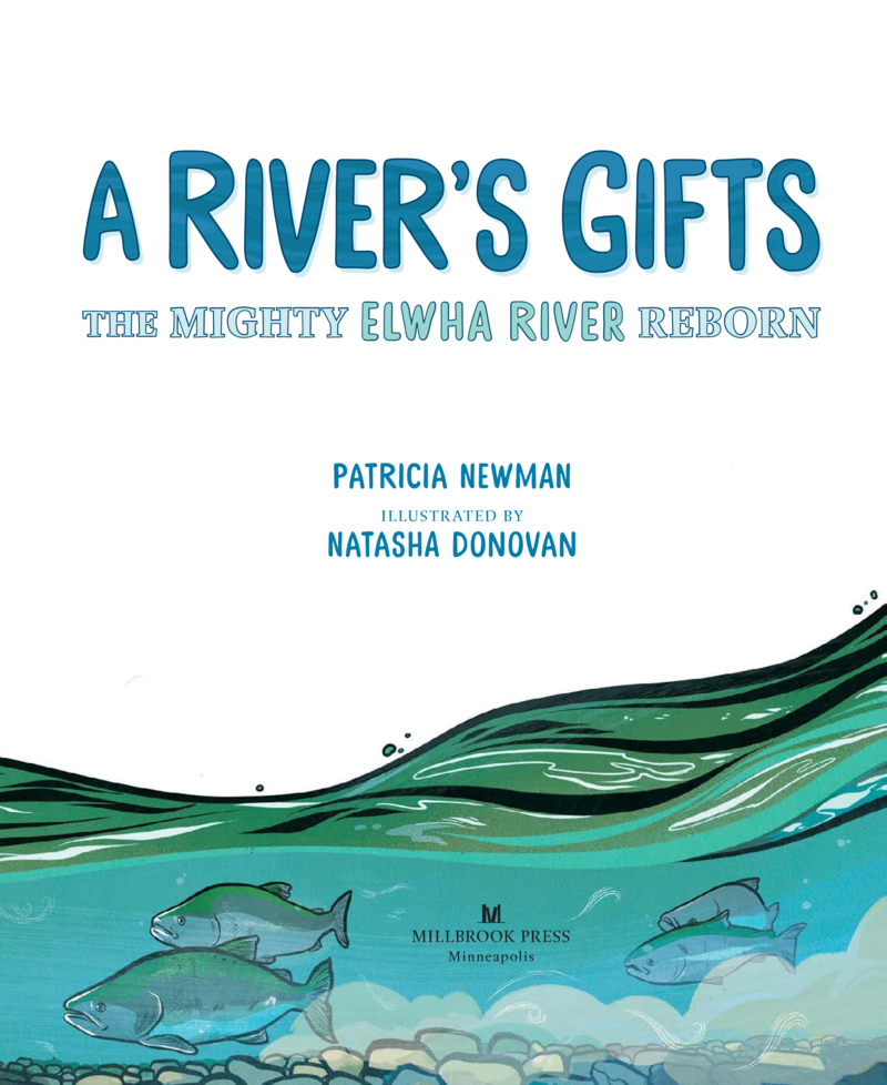 A River’s Gifts book cover