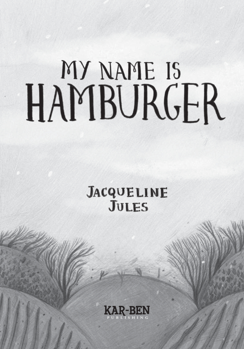 My Name Is Hamburger book cover