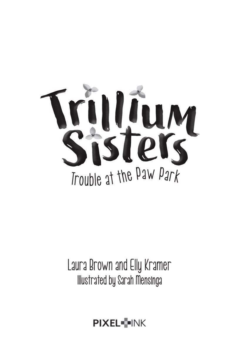 Trillium Sisters Book 4: Trouble at the Paw Park book cover