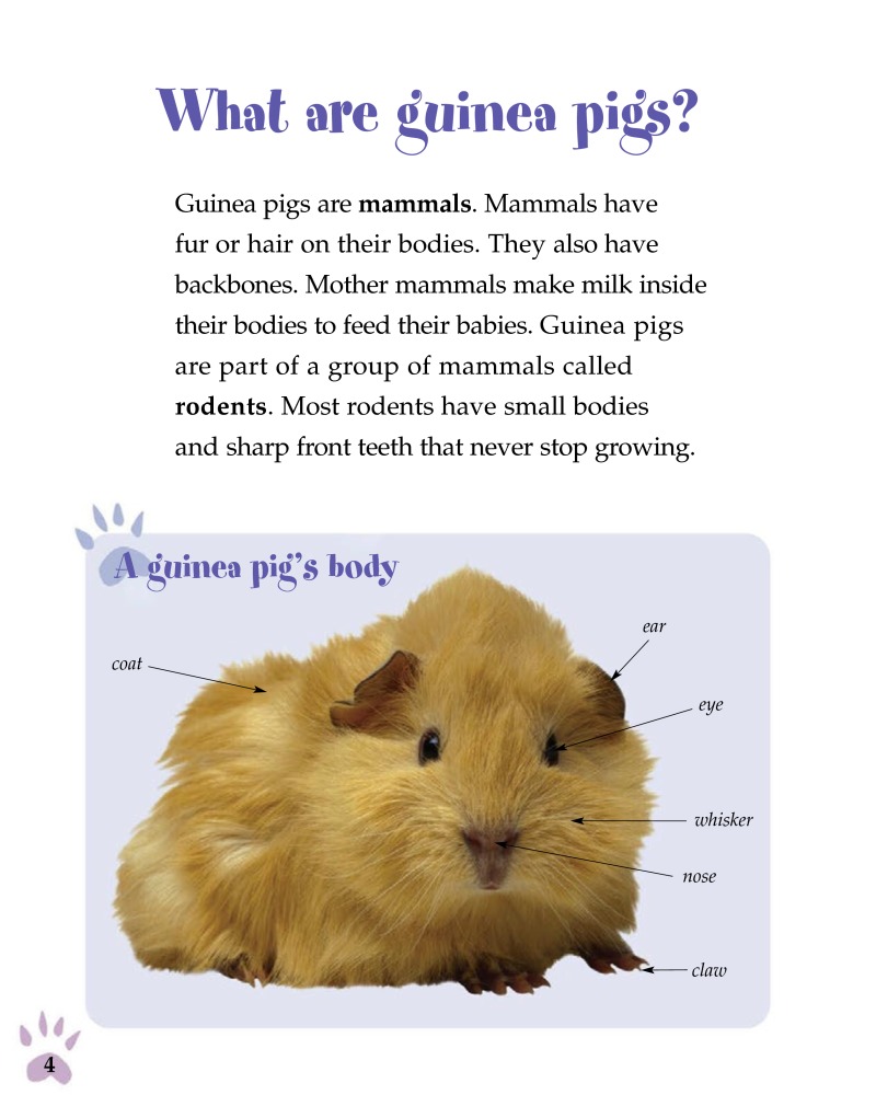 Guinea Pigs (Pet Care) — page 1