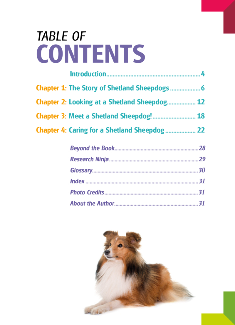 My Favorite Dog: Shetland Sheepdogs book cover