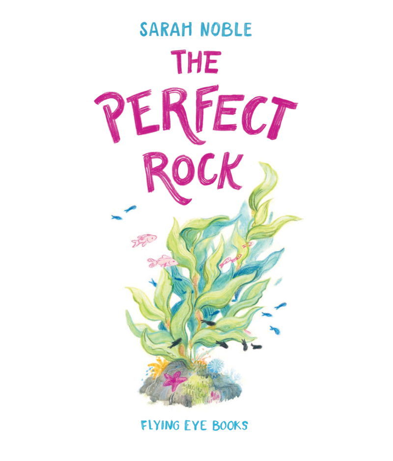 The Perfect Rock book cover