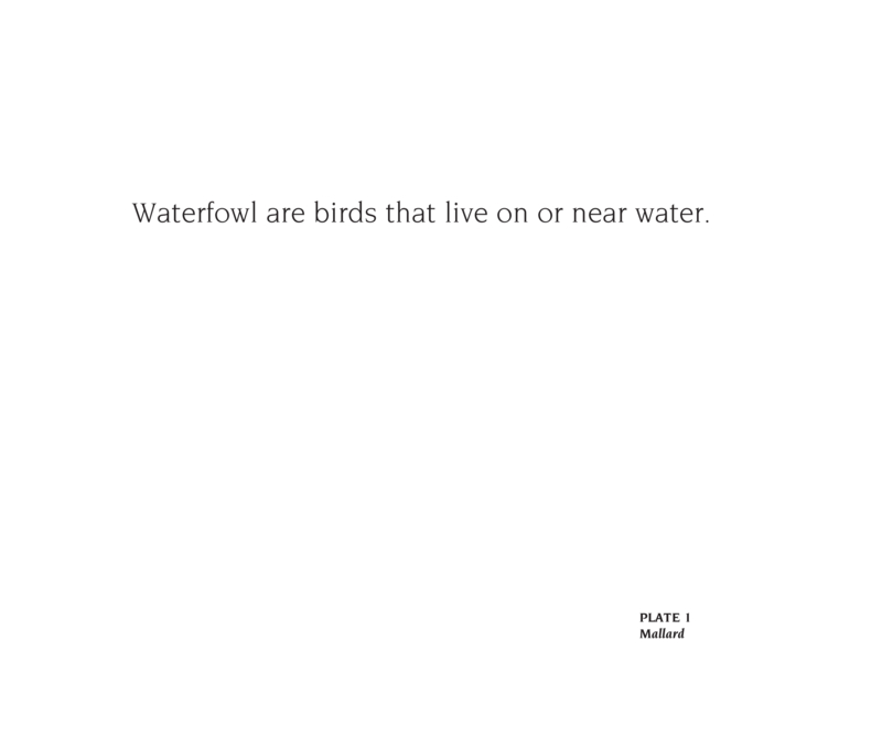About Waterfowl: A Guide for Children — page 1