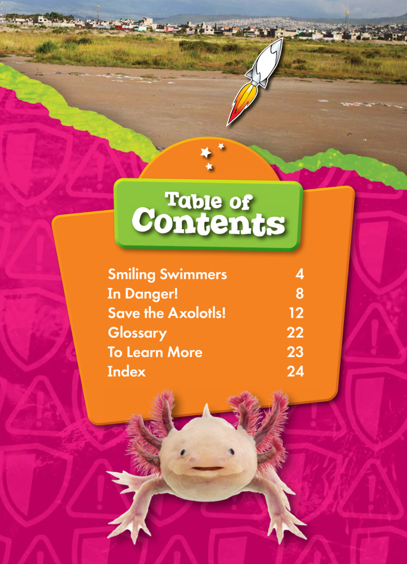 Animals at Risk: Axolotls book cover