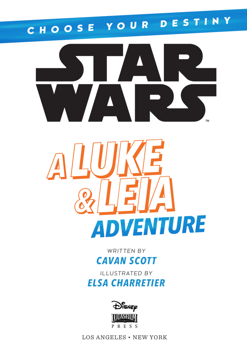 Star Wars: A Luke & Leia Adventure book cover