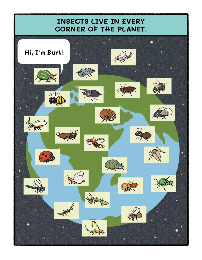 Burt the Beetle Lives Here — page 1