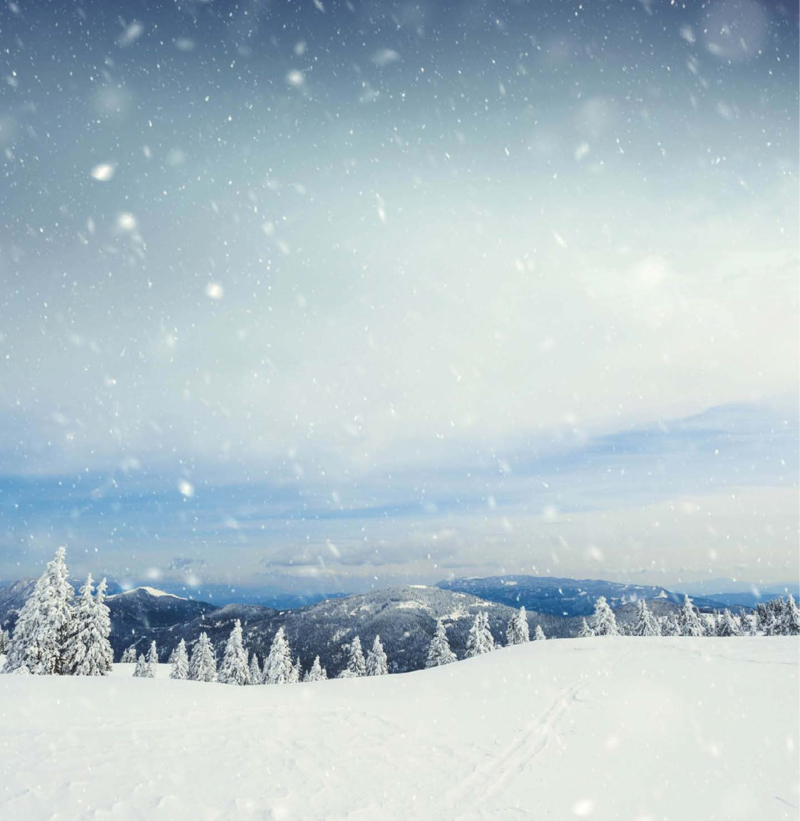 On A Flake-Flying Day: Watching Winter's Wonders — page 1