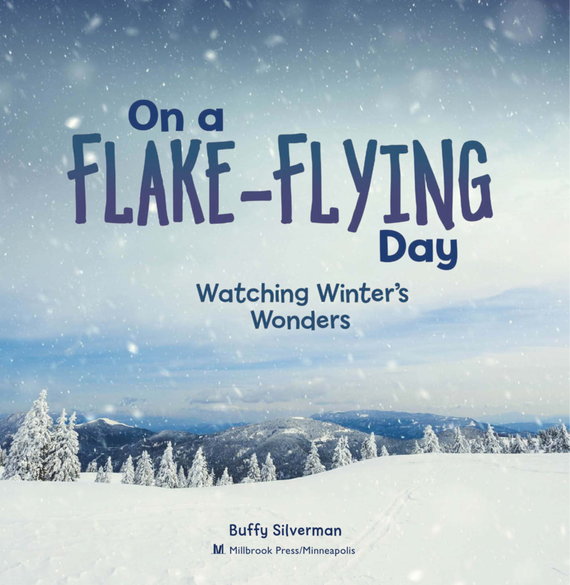 On A Flake-Flying Day: Watching Winter's Wonders book cover