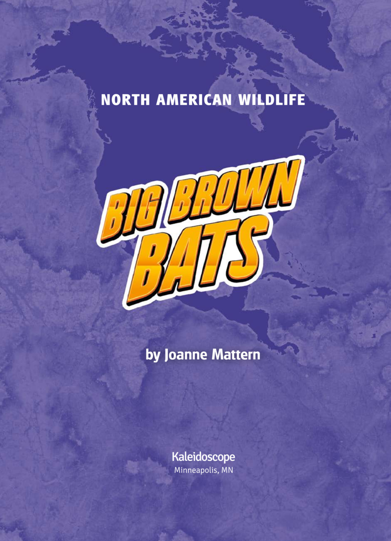 Big Brown Bats book cover
