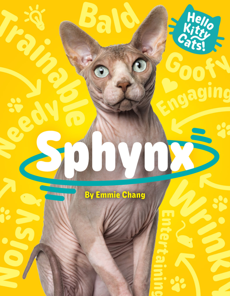 Hello Kitty Cats! Sphynx book cover