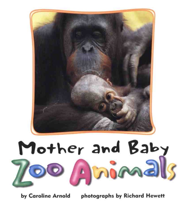 Mother and Baby Zoo Animals book cover