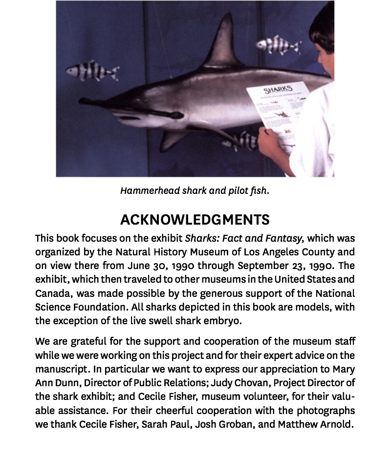 Watch Out For Sharks book cover