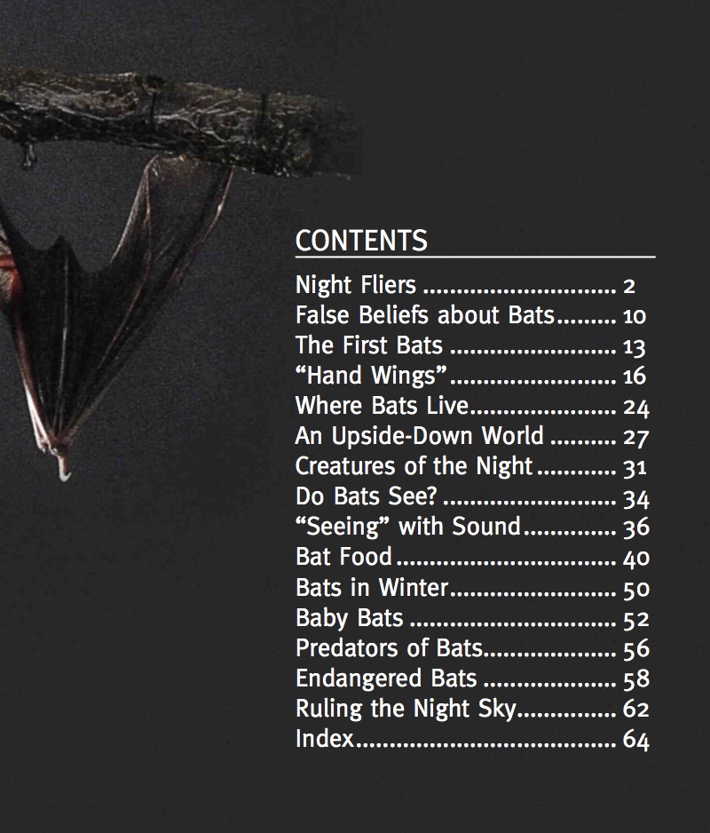 Bat book cover