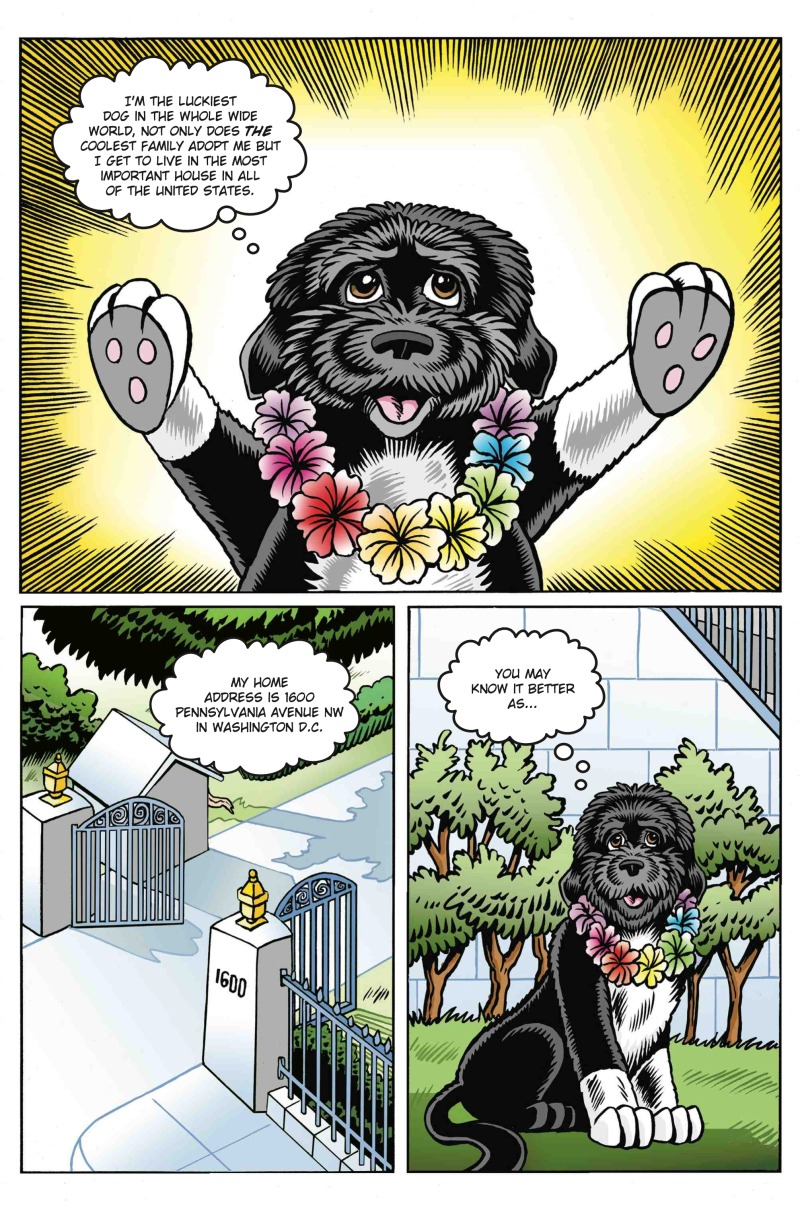 Puppy Power: Bo Obama book cover