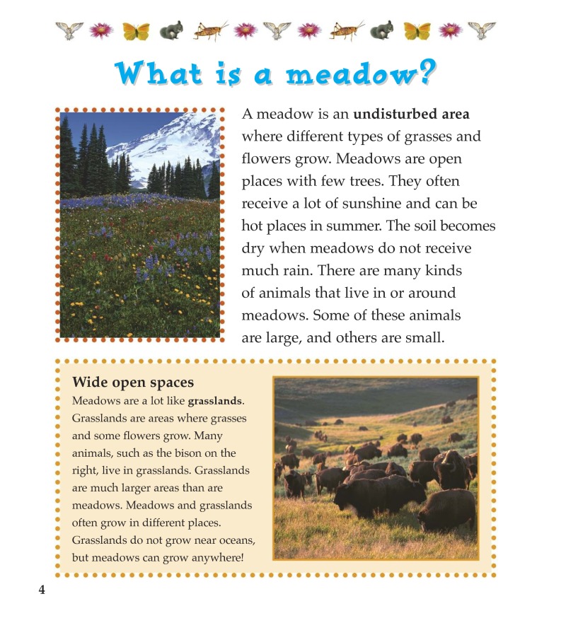 Meadow Food Chains — page 1