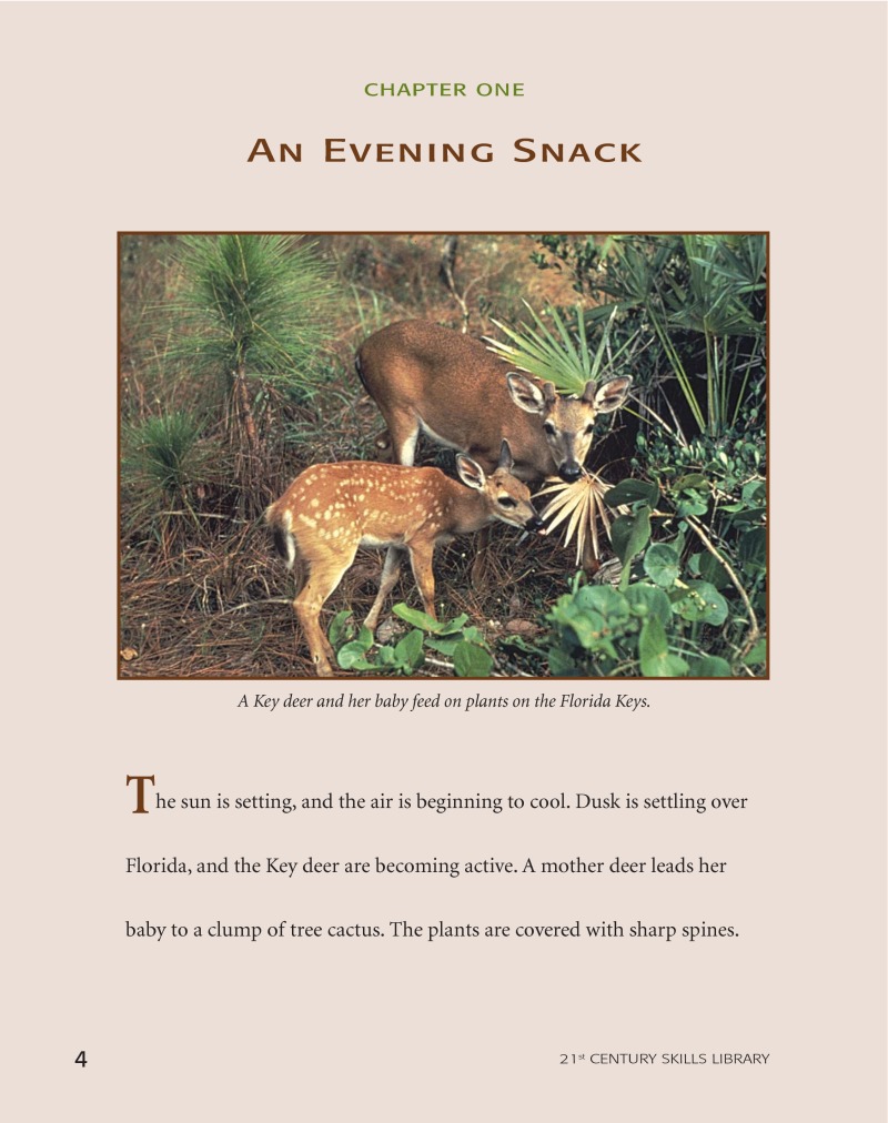 Road To Recovery: Key Deer — page 1