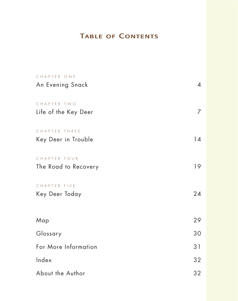 Road To Recovery: Key Deer book cover