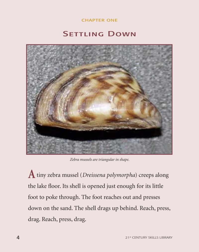 Animal Invaders: Zebra Mussel — page 1