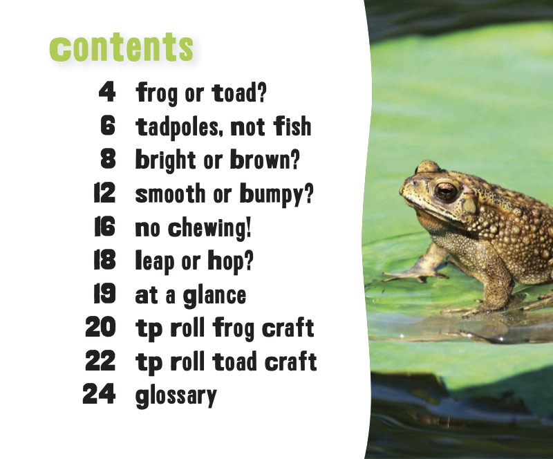 Frog or Toad? book cover