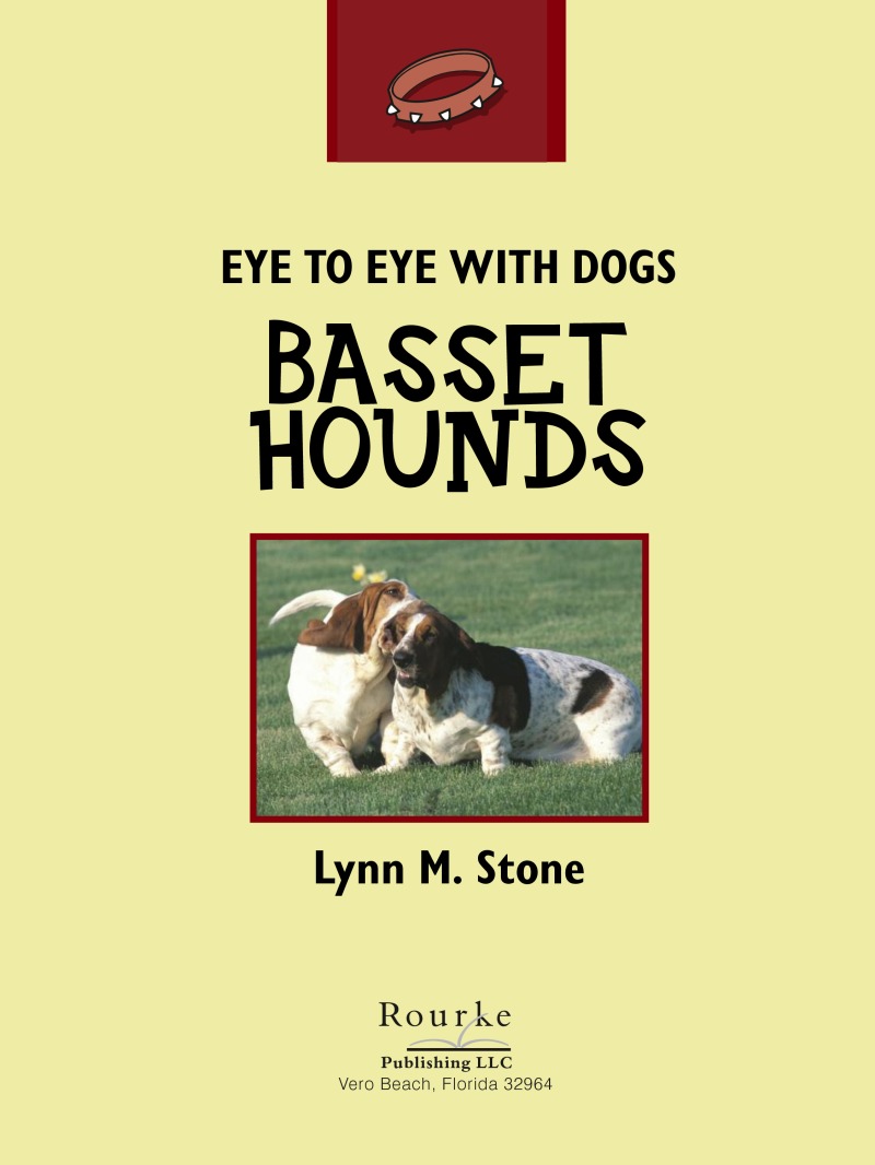 Eye To Eye With Dogs: Basset Hounds book cover