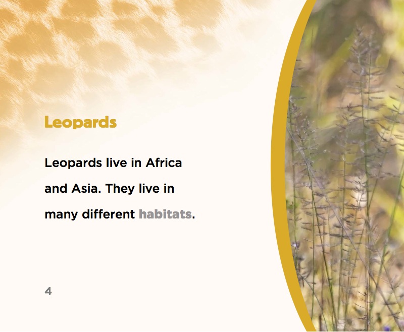 Big Cats: Leopards — page 1