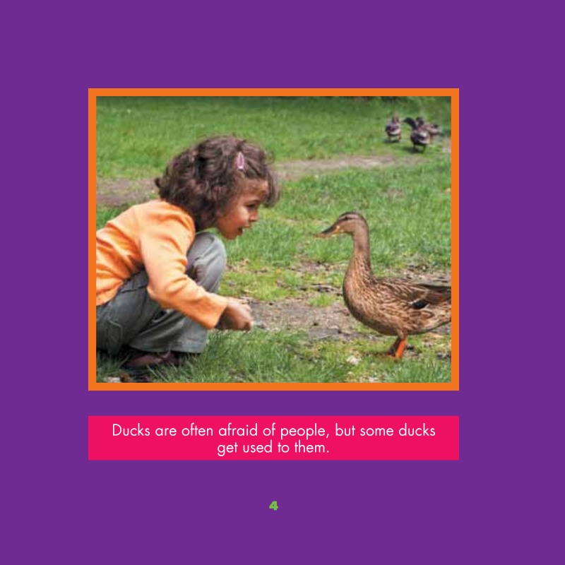 Farm Animals: Ducks — page 1