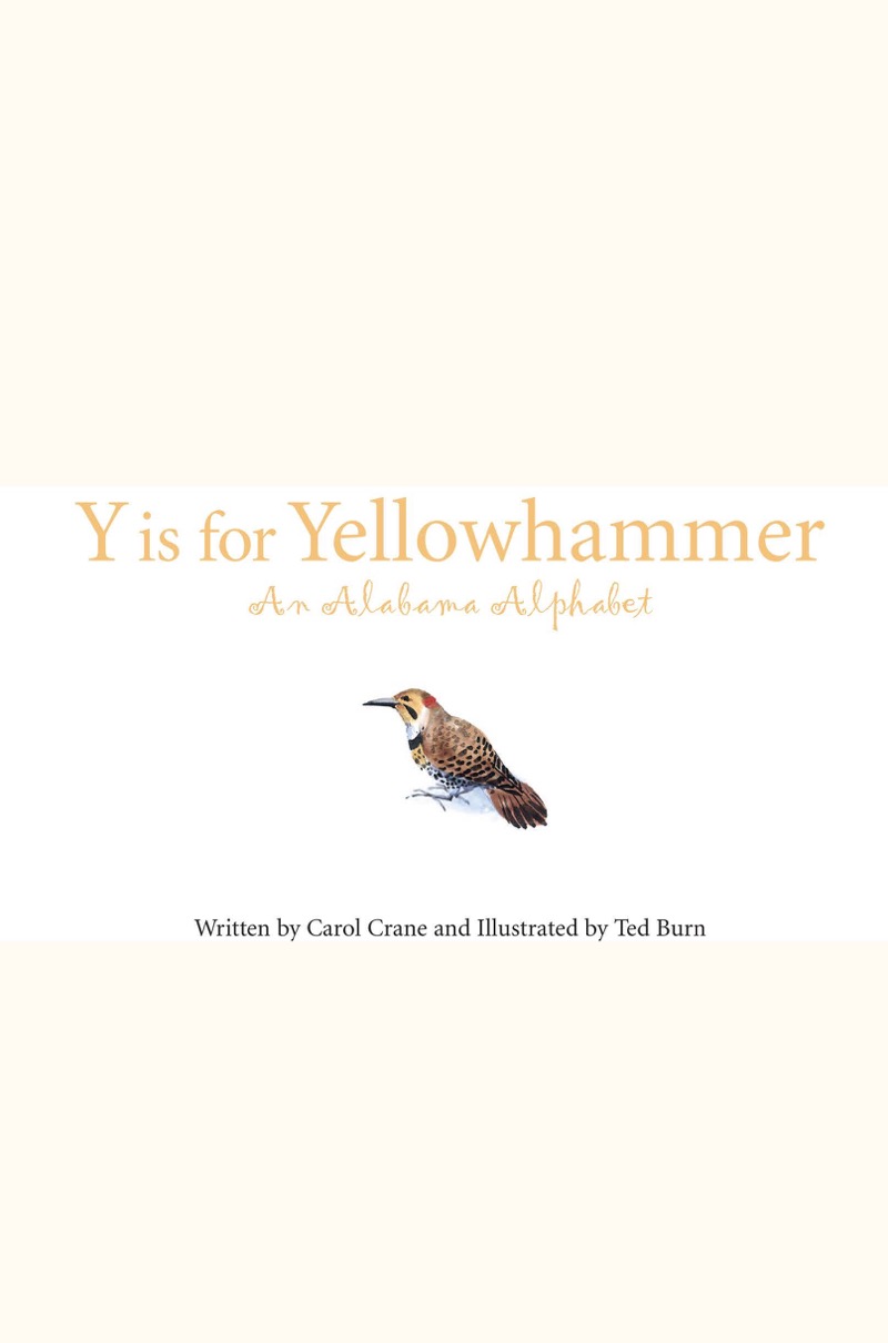 Y is for Yellowhammer: An Alabama Alphabet book cover