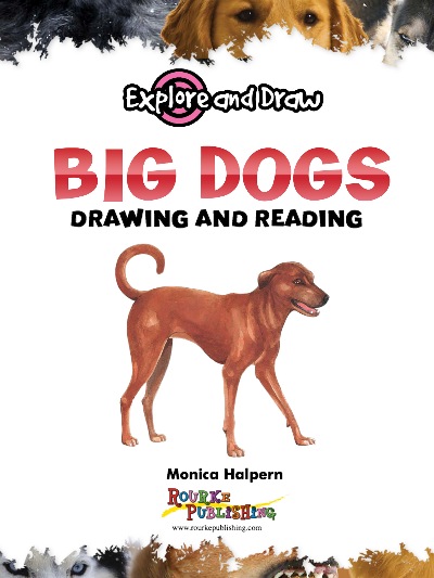 Explore And Draw: Big Dogs book cover
