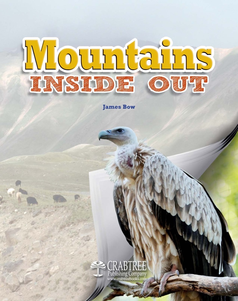 Mountains Inside Out book cover
