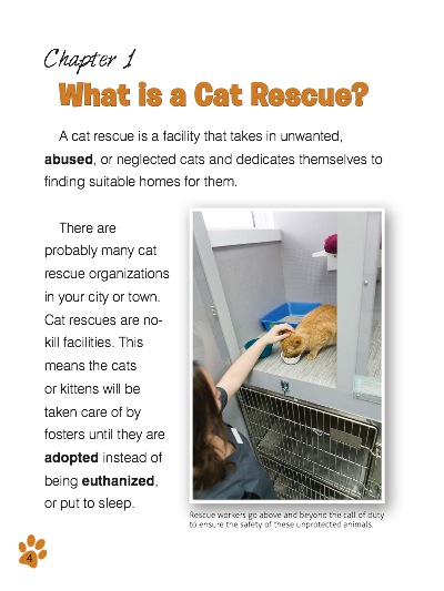 Rescue And Shelter Cats — page 1