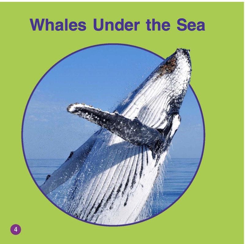 Whales — page 1