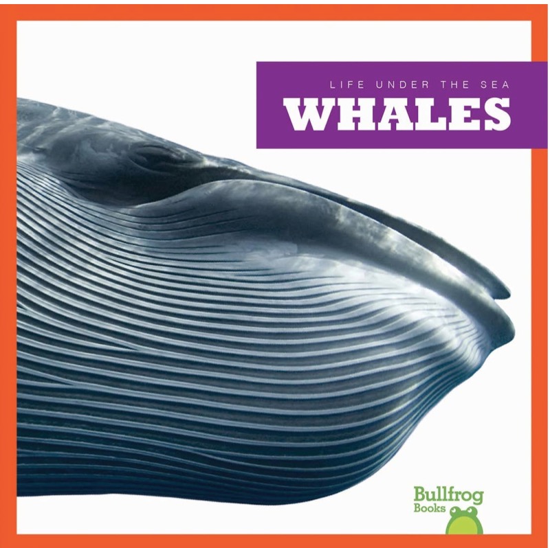 Whales book cover