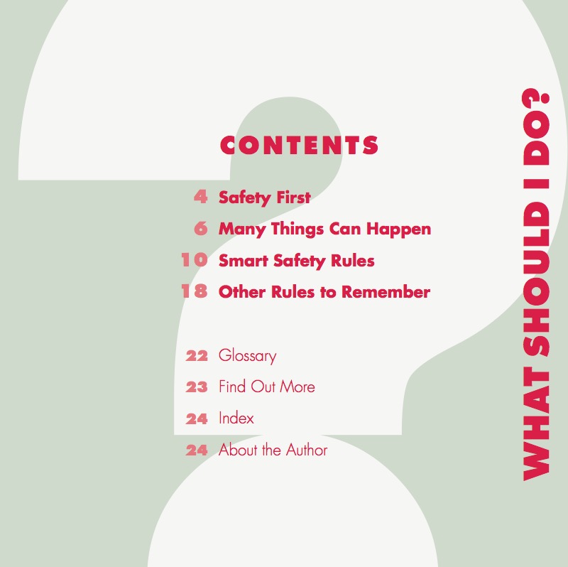 What Should I Do? In the Car book cover
